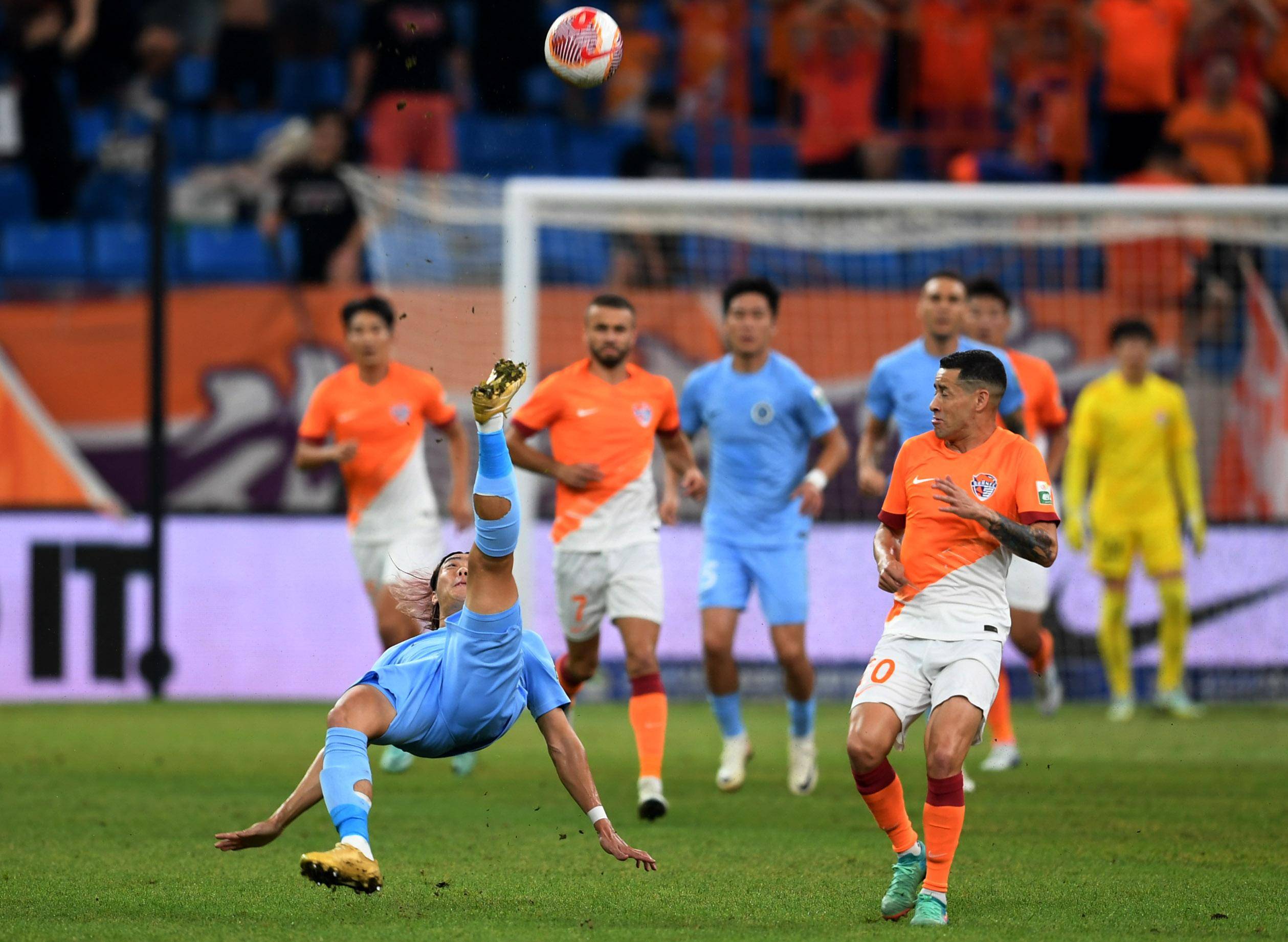 仅展示了广 仅展示了广